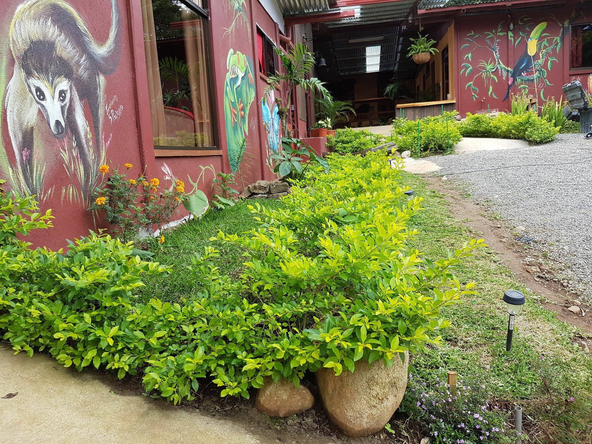 Greemount Hotel Monteverde Exterior foto